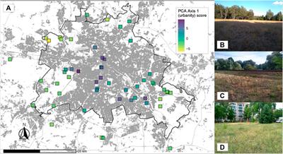 Soil Physico-Chemical Properties Change Across an Urbanity Gradient in Berlin